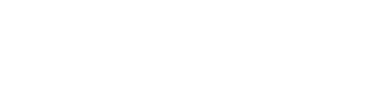 ZENIT Academia Dental